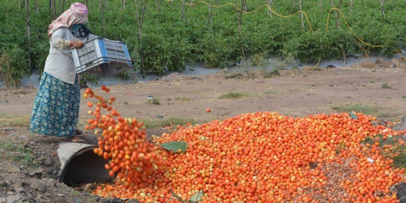 Food waste – The duality of surplus and deficit